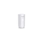 Philips Filtro acqua AWP305